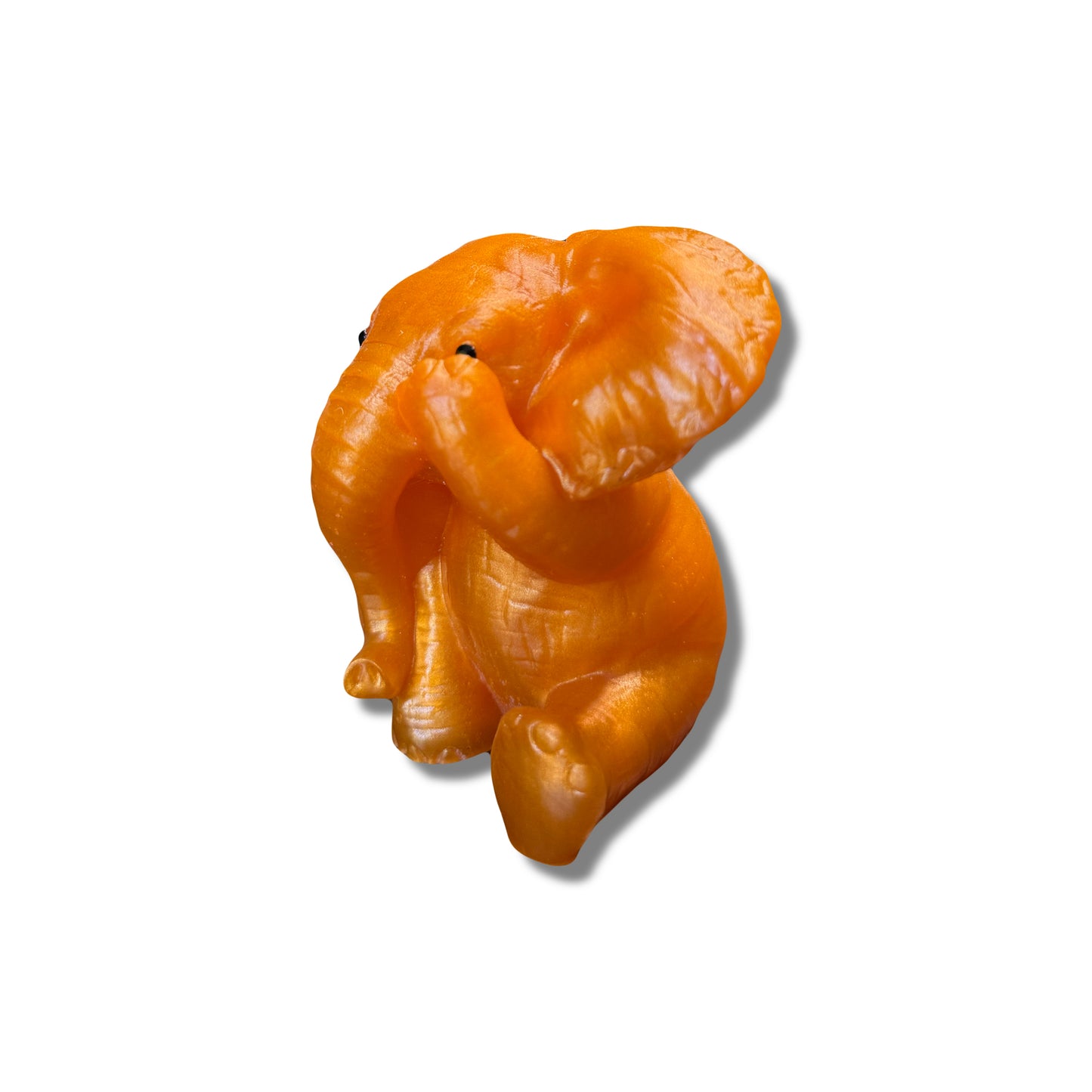 Elephant Covering Eye