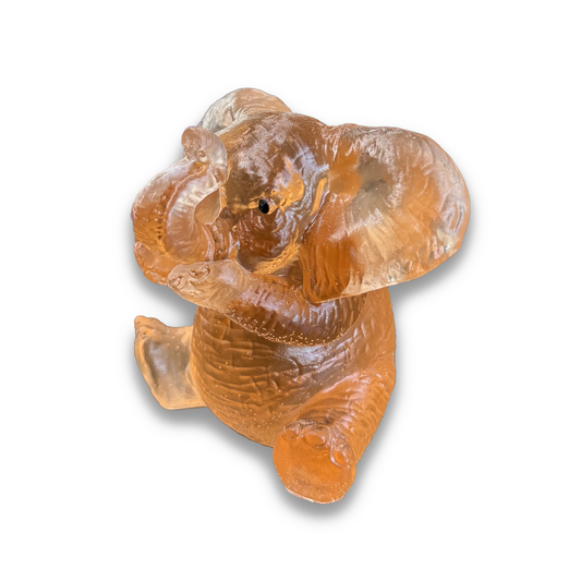 Elephant Covering Mouth