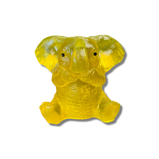 Elephant Covering Mouth