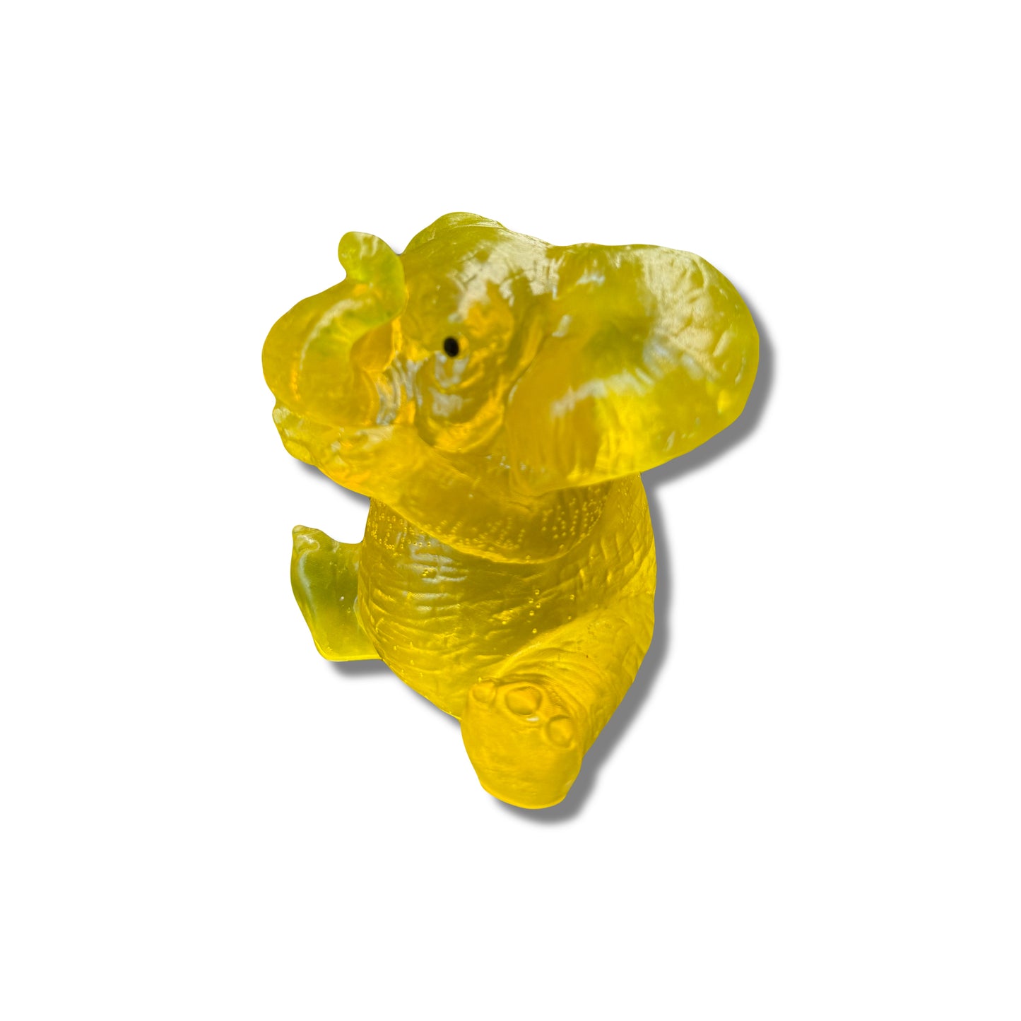 Elephant Covering Mouth