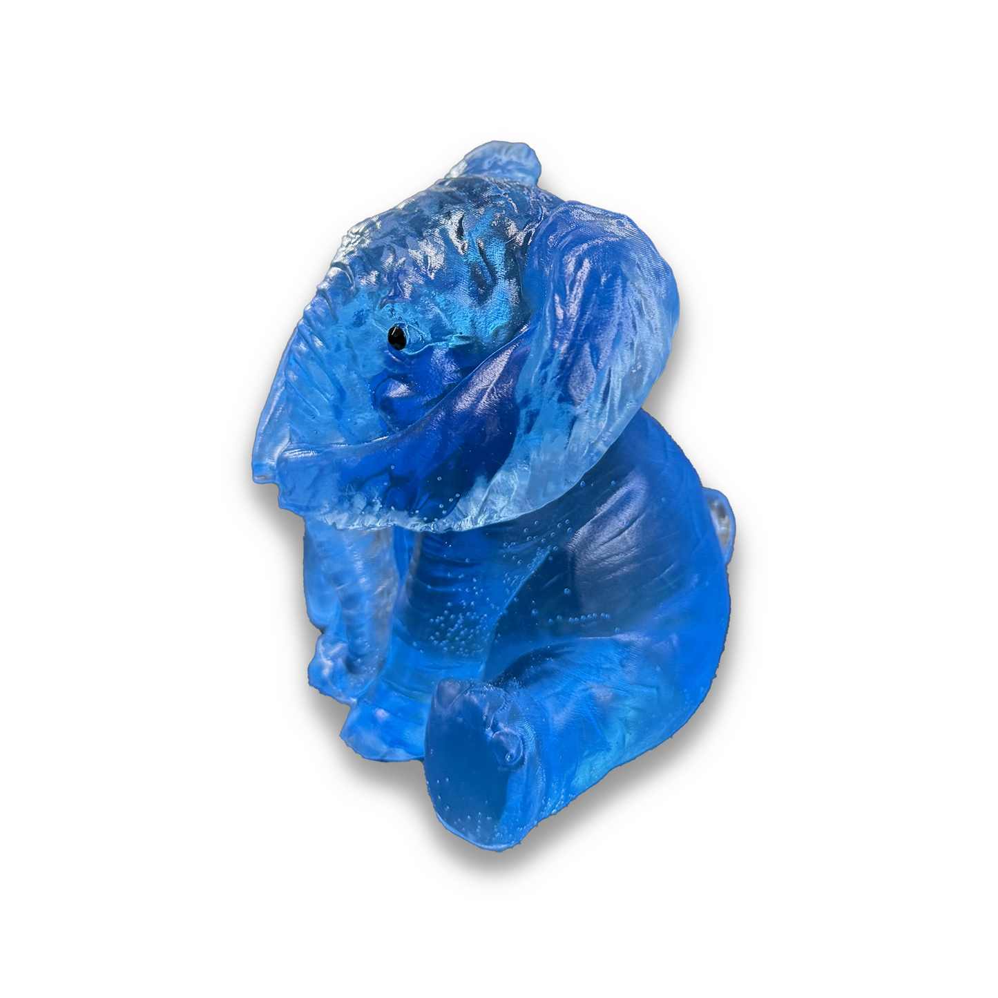 Elephant Coving Ears