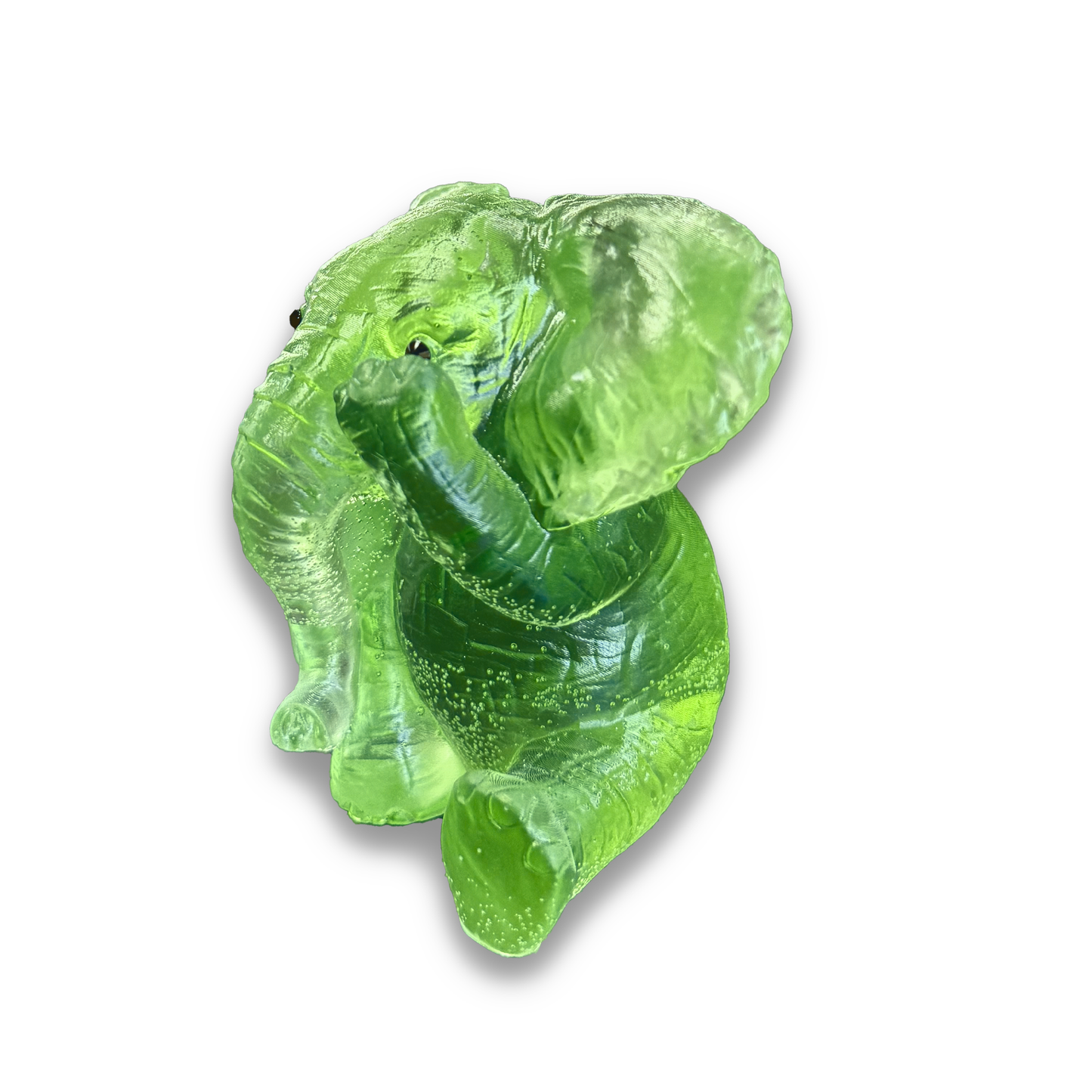 Elephant Covering Eye