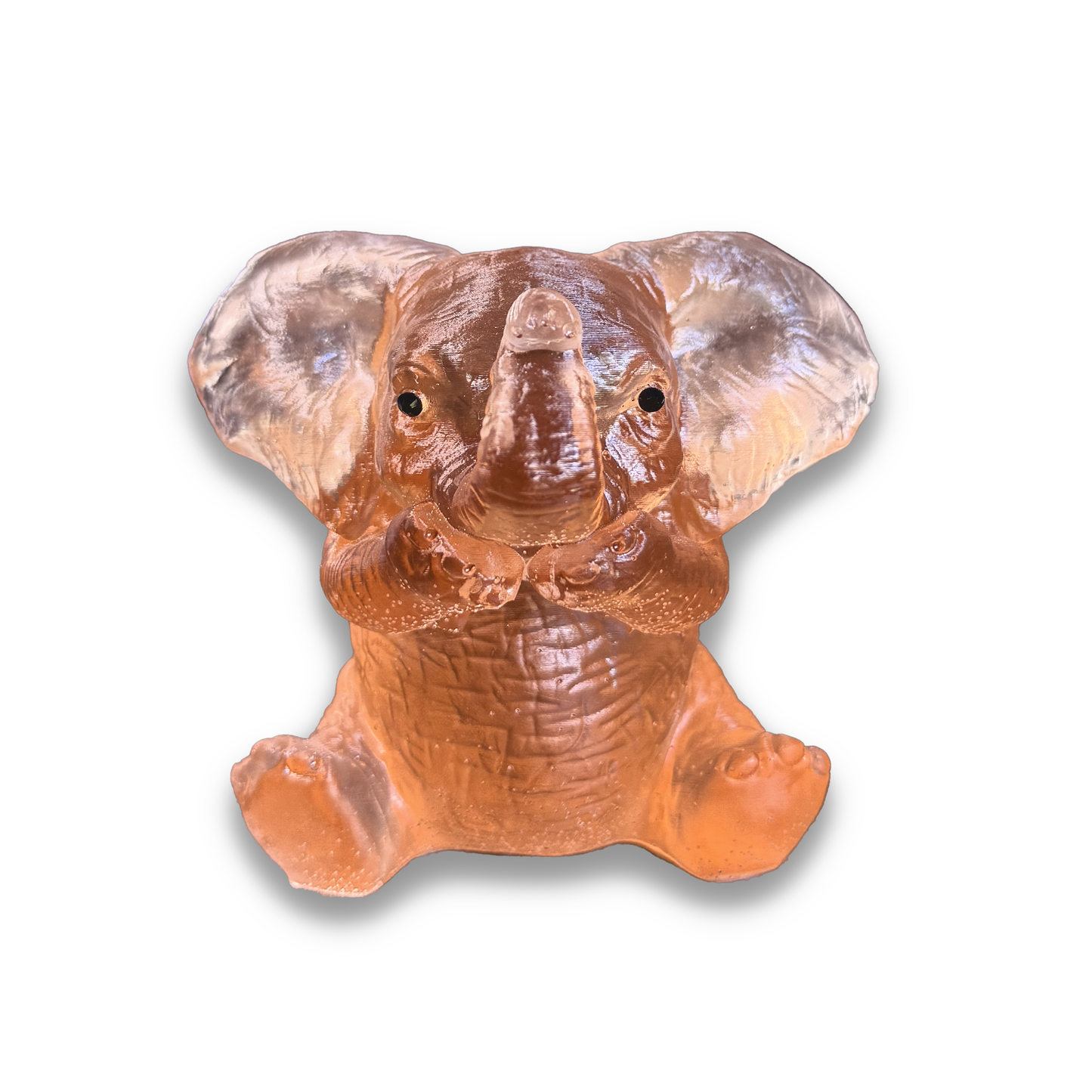 Elephant Covering Mouth